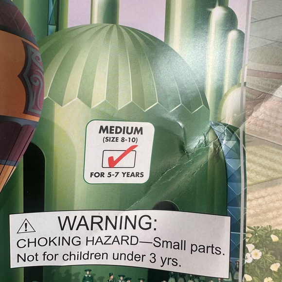 Dorothy Wizard of Oz medium 8/10 kids Halloween costume brand new - Picture 3 of 4